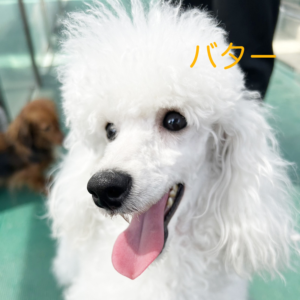 生徒が撮影した写真☆☆☆②